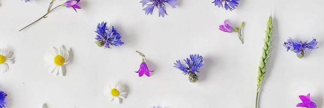 anenee5's profile banner image