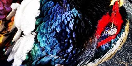 ianfletch2's profile banner image