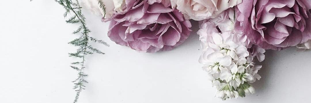 dnandrn's profile banner image