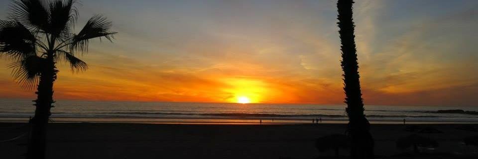 werribee111's profile banner image