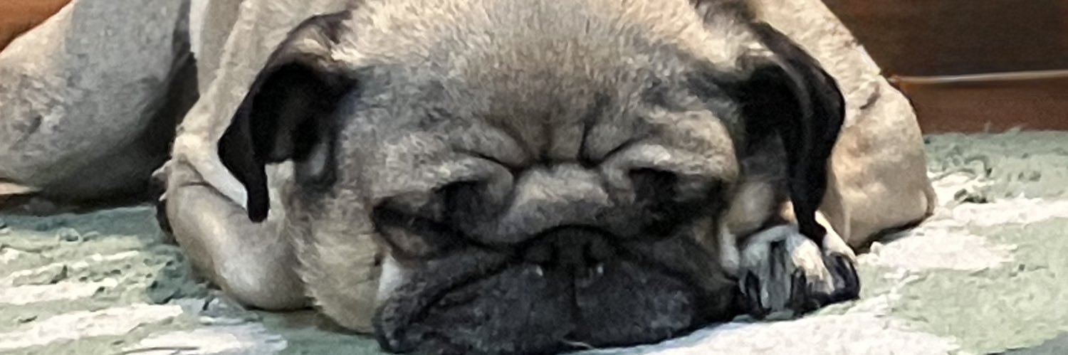パグさん banner