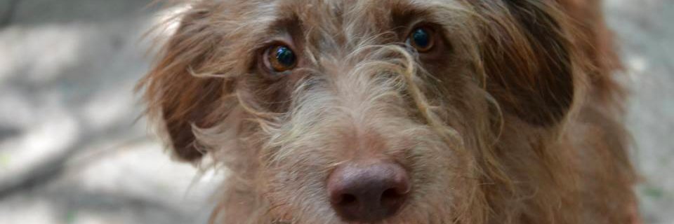 d_huellas's profile banner image