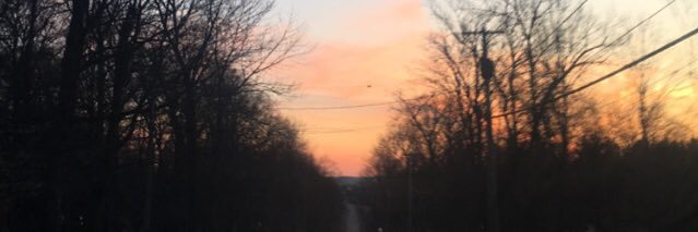Maddie banner