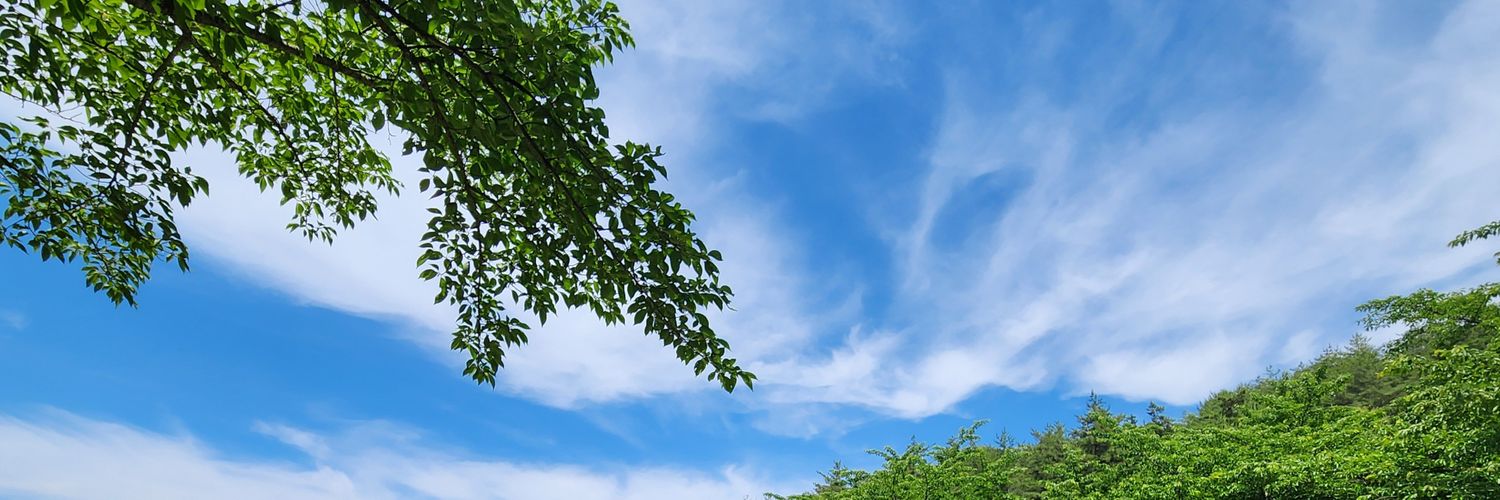 1657alice's profile banner image
