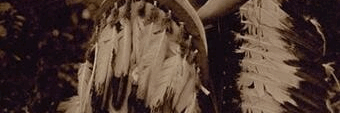 psolere's profile banner image