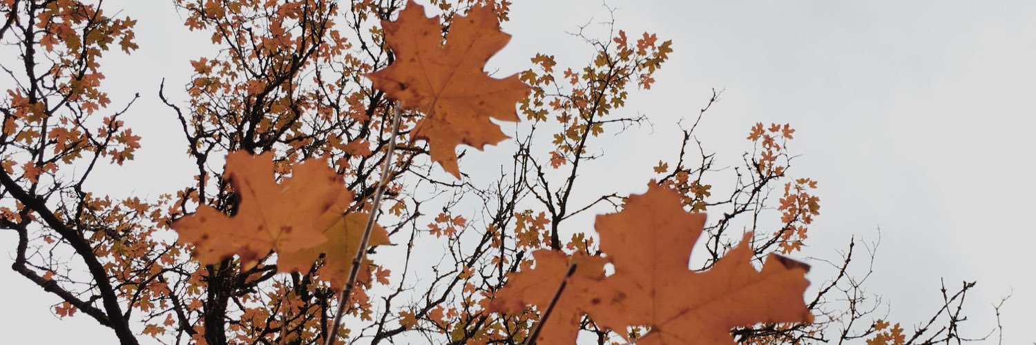 carolinecantera's profile banner image
