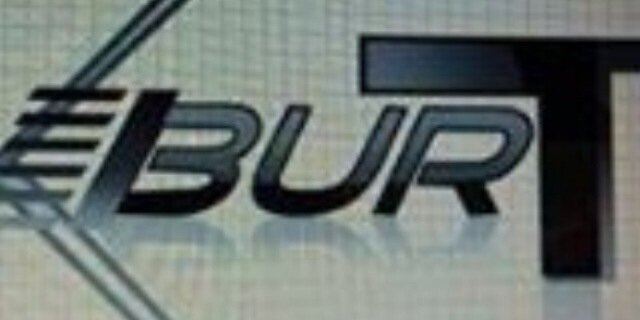 BURTUNNIVRSARY banner