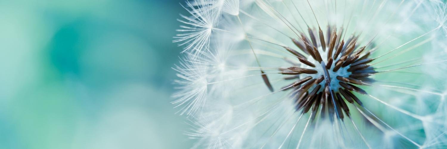 CharuPandey95's profile banner image
