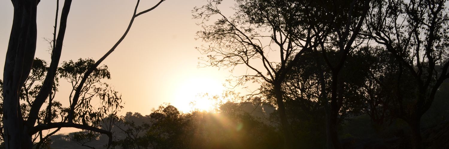 harsh_shadow's profile banner image