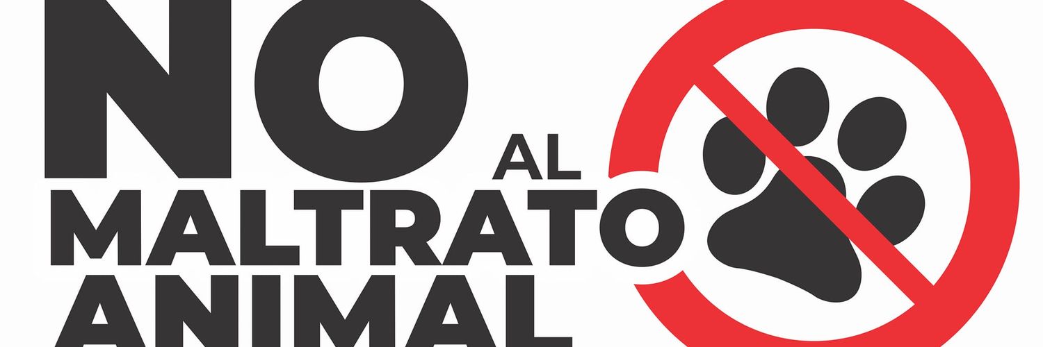 Luna Gomez Hady banner