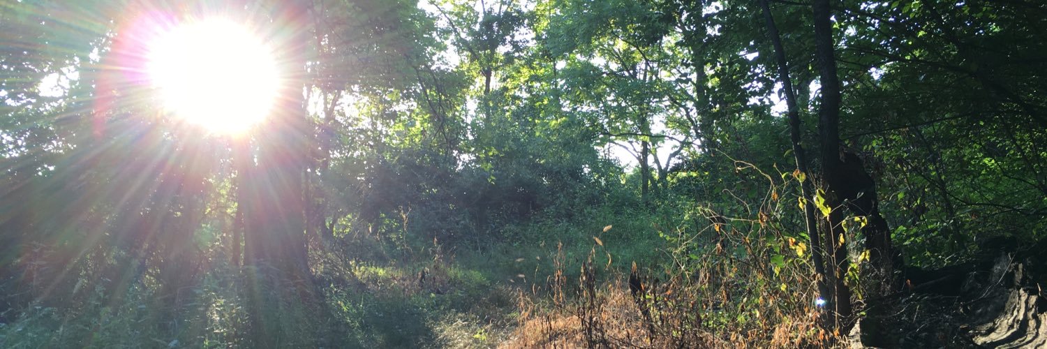 Jacob Schnurr banner