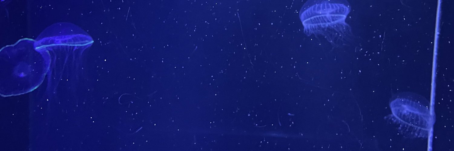 achi3o's profile banner image