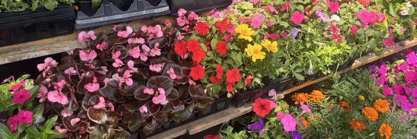 jessicaramosqns Profile Banner