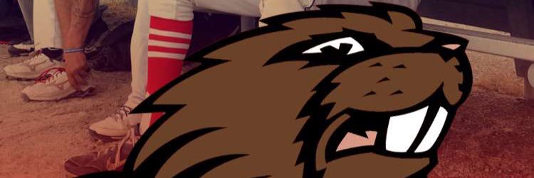 AngryBeavers2's profile banner image