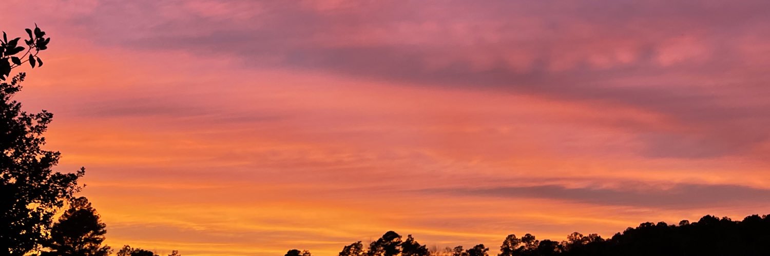 dev🍒 banner