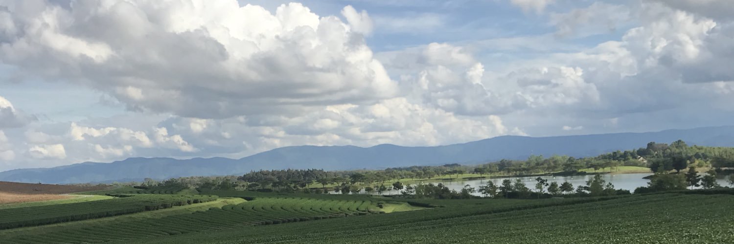 lluuNan's profile banner image