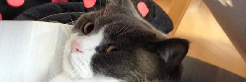Pinacosan's profile banner image