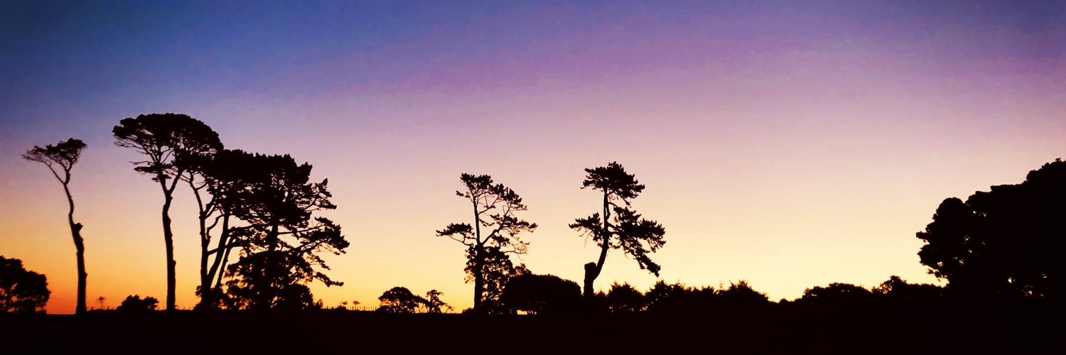 ysgl_y's profile banner image