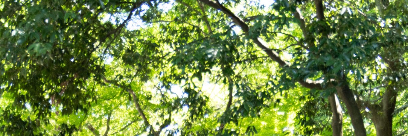jun9o's profile banner image