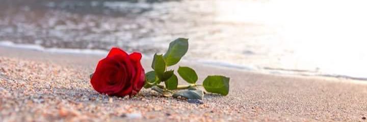 ahsas_abo's profile banner image