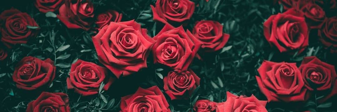 mem9065's profile banner image