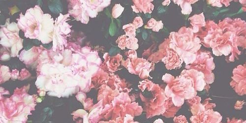 for_Arej12's profile banner image