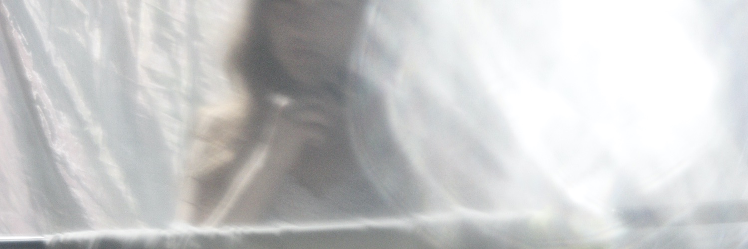 Lisa Fevral🌙🌹 banner
