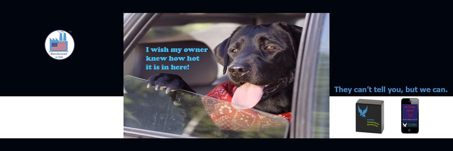 CondorPet's profile banner image