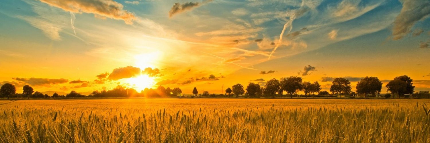 ✨Natalee Ljubecka✨ banner