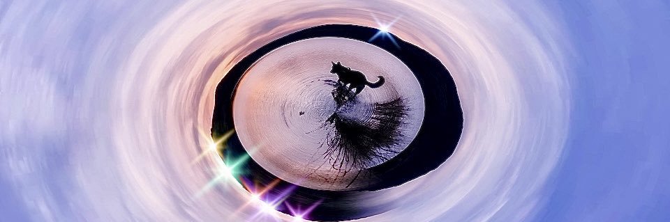 lowkeycayla_'s profile banner image