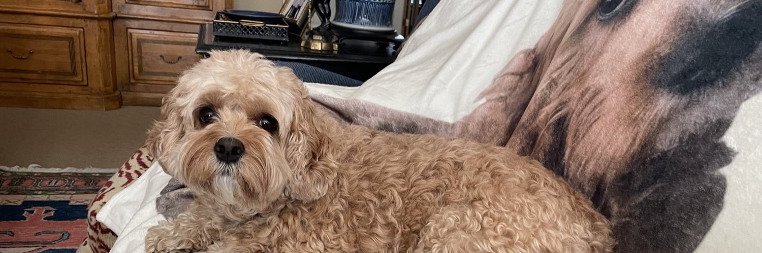izzyalexander_'s profile banner image