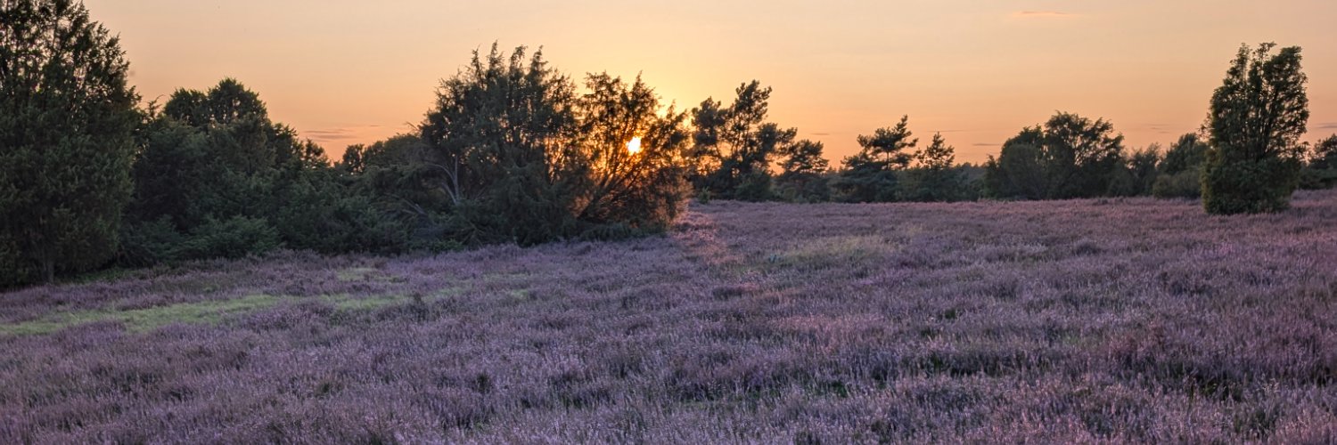 robedeb's profile banner image