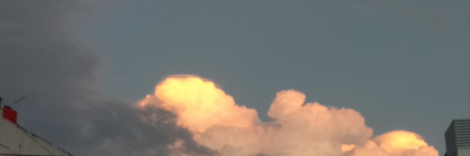 sonagustine's profile banner image