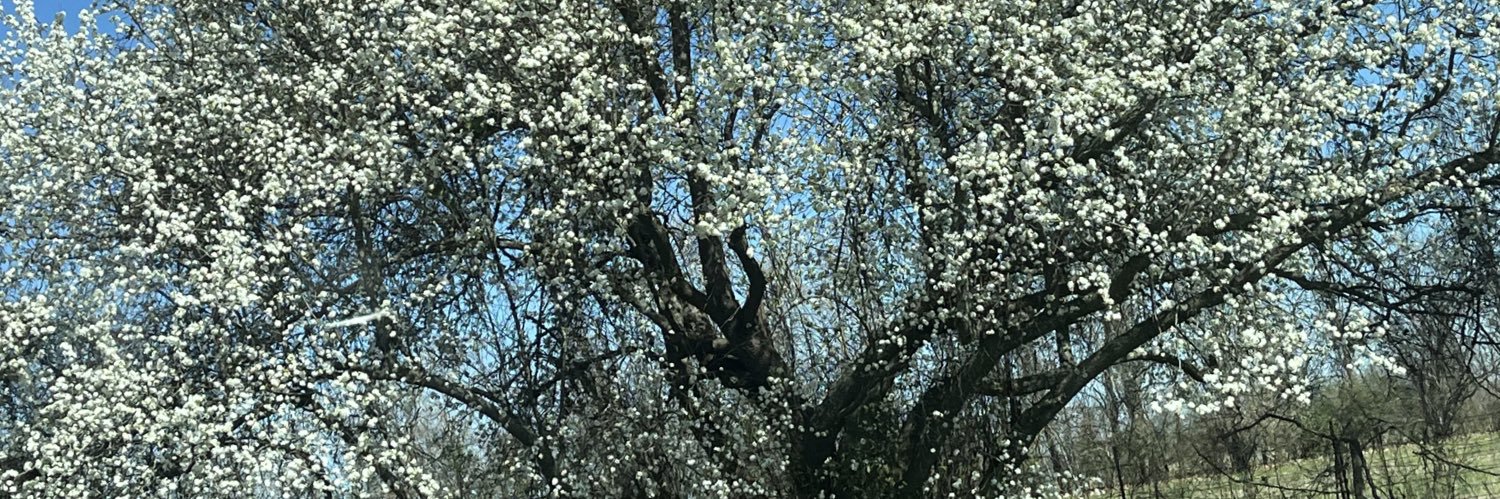 aprilloggin79's profile banner image
