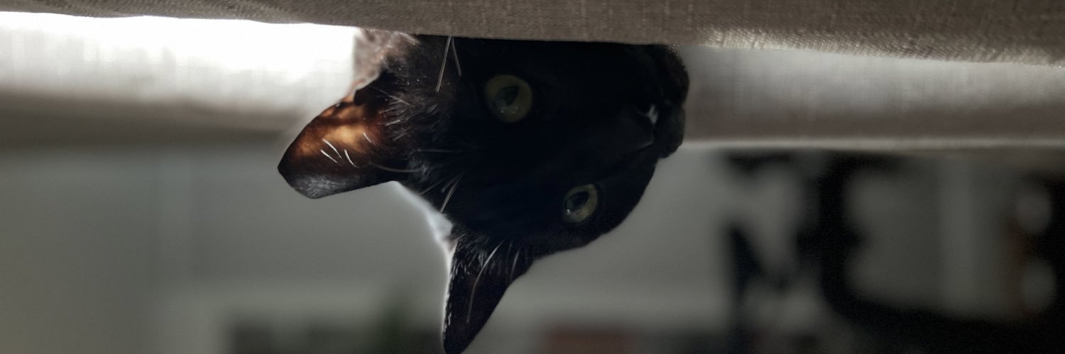 samaaronk's profile banner image