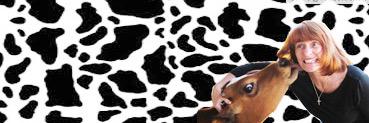 PamFridays's profile banner image