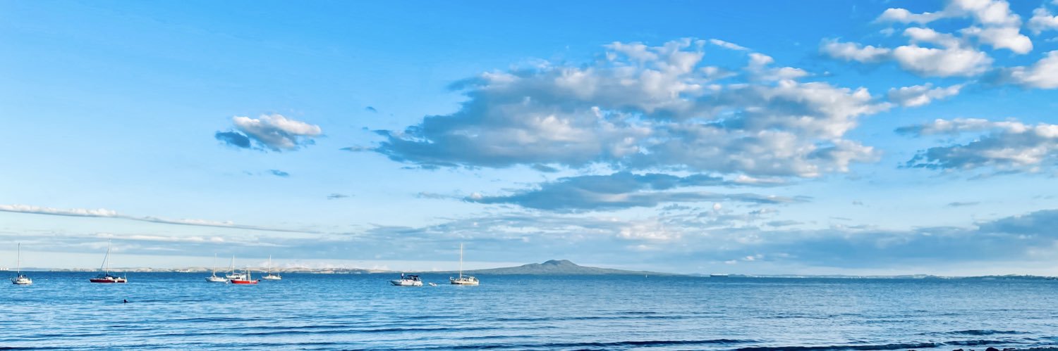 Agent 86 (Maxwell Smart) banner