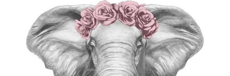 shaffner479's profile banner image