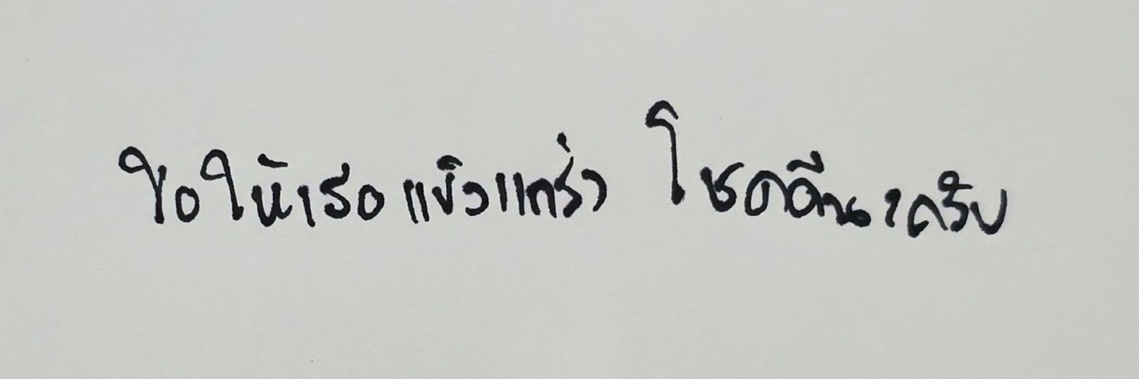 𝙂𝙜 〰️🐈💜 banner