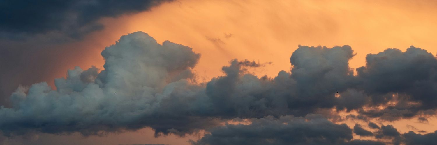 \\\.E.C.///✧YC Defender ✧ banner