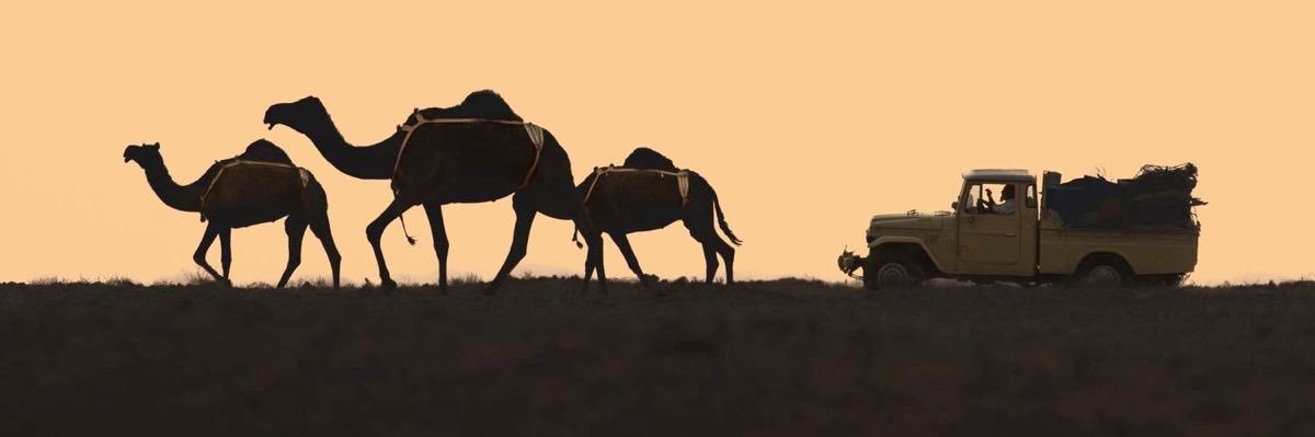 llsArll_'s profile banner image