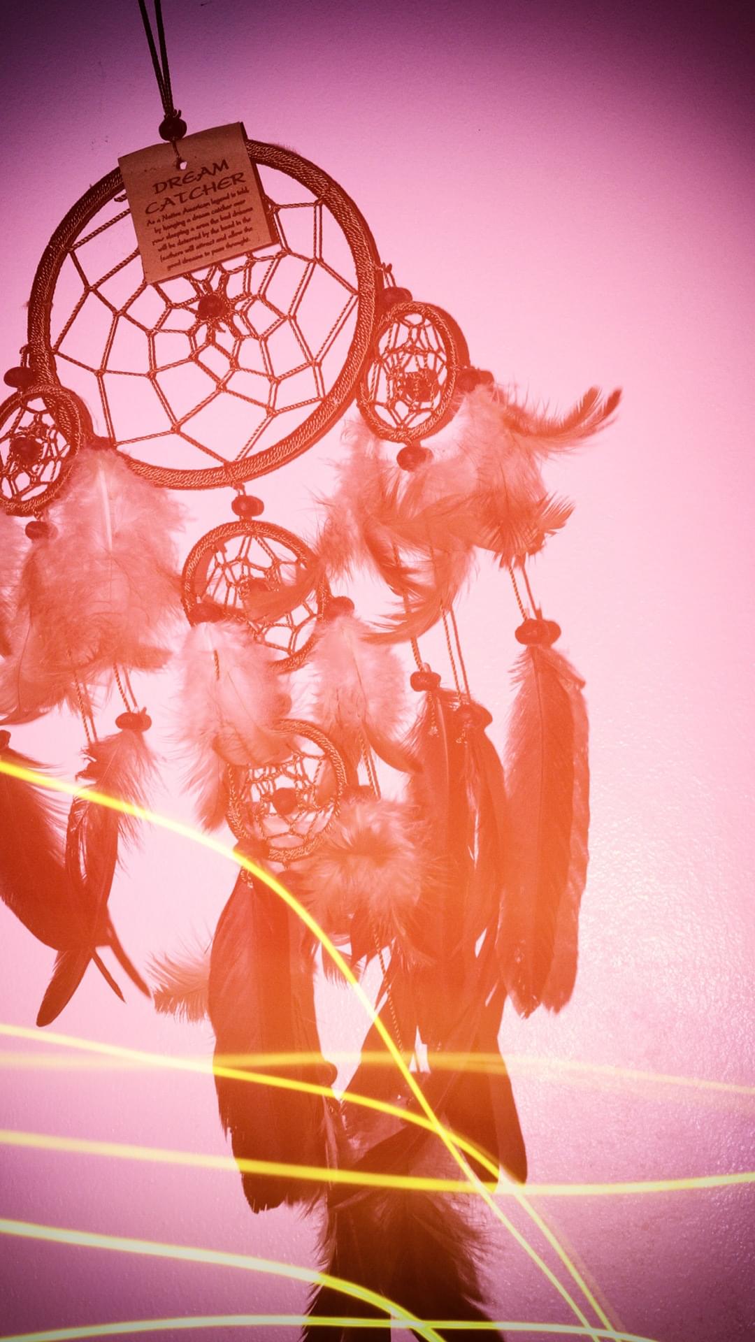 HSI_Gabby's profile banner image