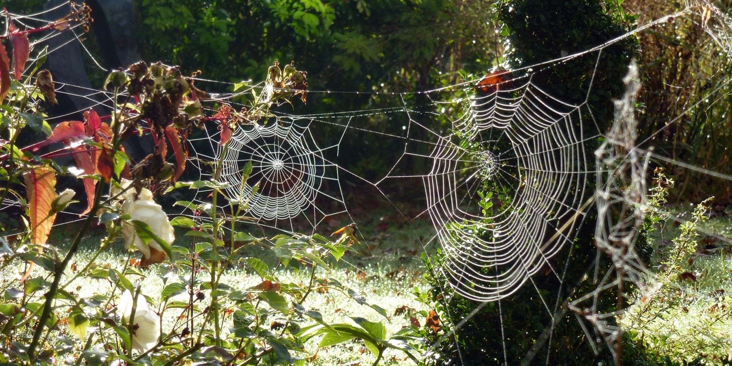 Andy_BClough's profile banner image