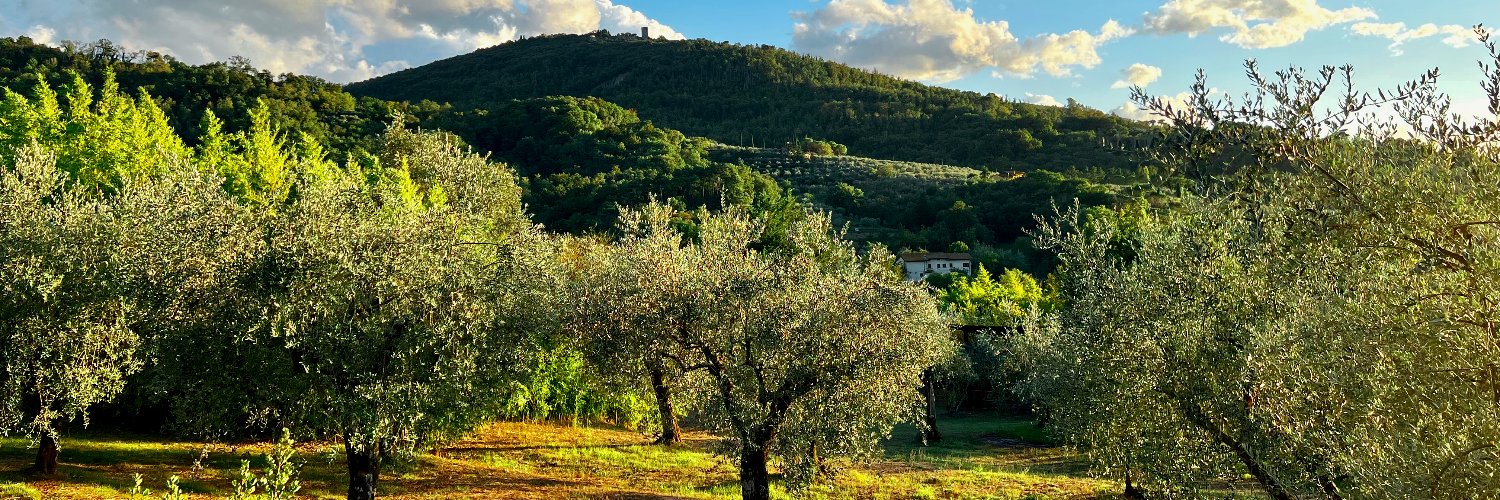 John Santaferraro banner