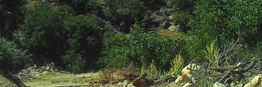 berberaytu's profile banner image