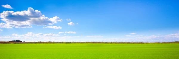 CryptoC0incom's profile banner image