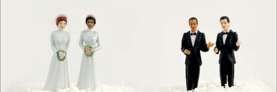 GayWeddingAU's profile banner image
