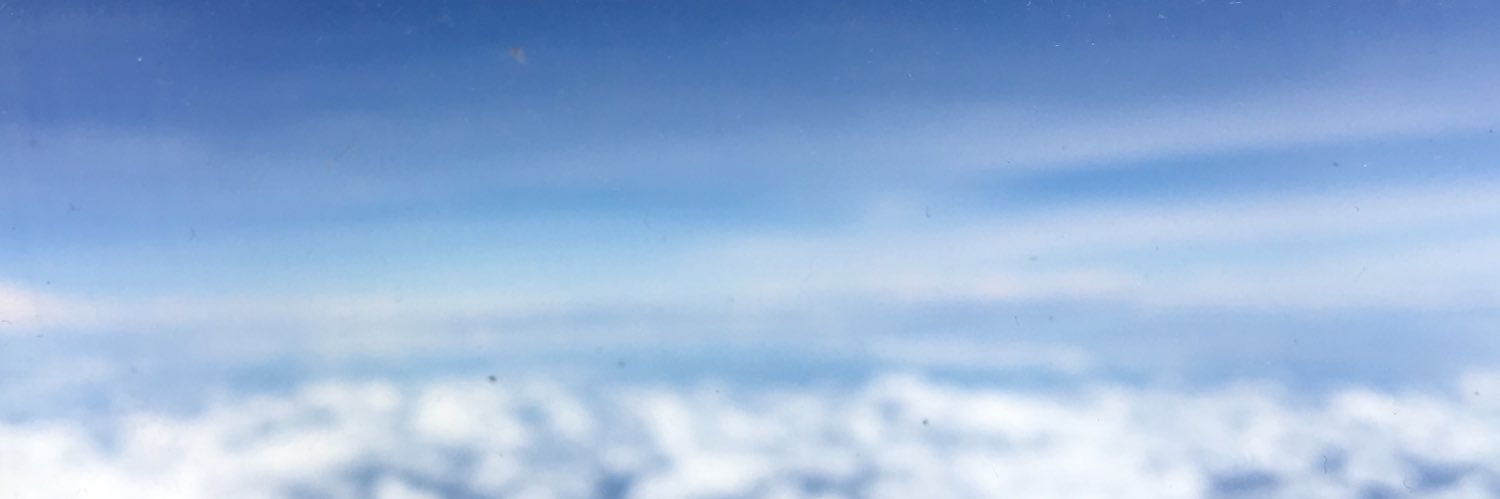 🫧🌻 banner