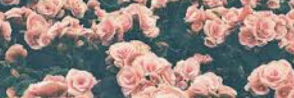 lolnashtho's profile banner image