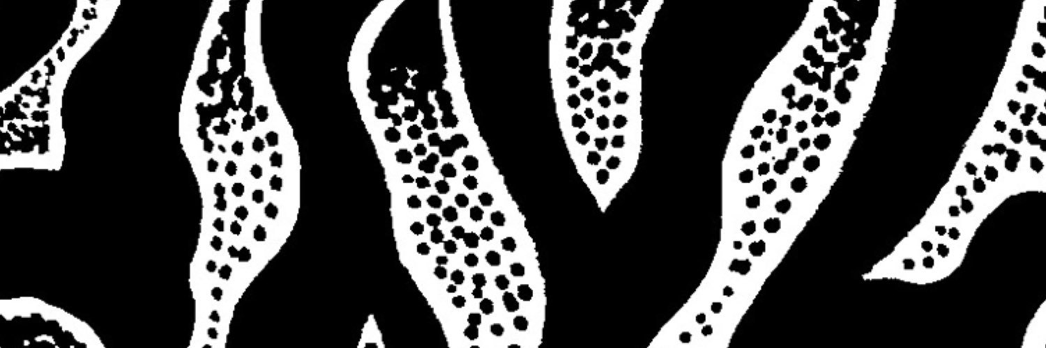 vividzebra's profile banner image